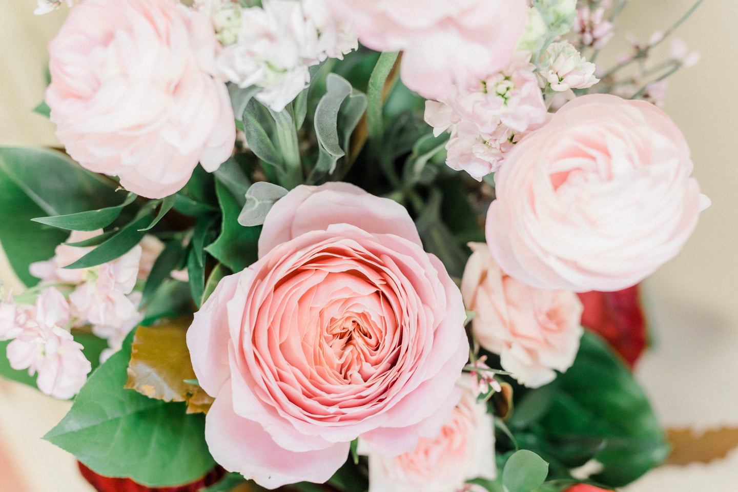 Collection Of Roses Premium Roses | Houston Premium Flowers | Houston Delivery – GALLERY ...