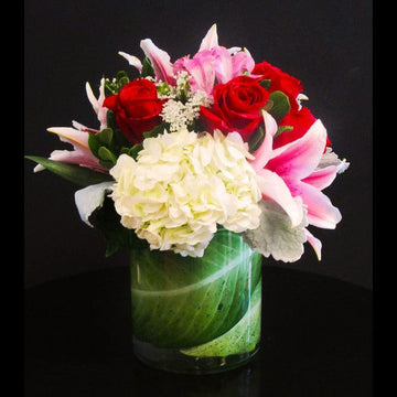 Lush blend of red roses, white hydrangea, stargazer in a cylinder, striking gift for your Anniversary.