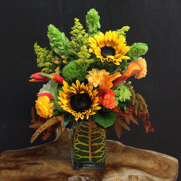 A fall inspired arrangement featuring sunflowers, orange calla lilies, orange dahlias, orange tulips, and various green flowers in a clear rectangular vase with croton leaves wrapped. Fall flowers in Houston delivery and pick up.